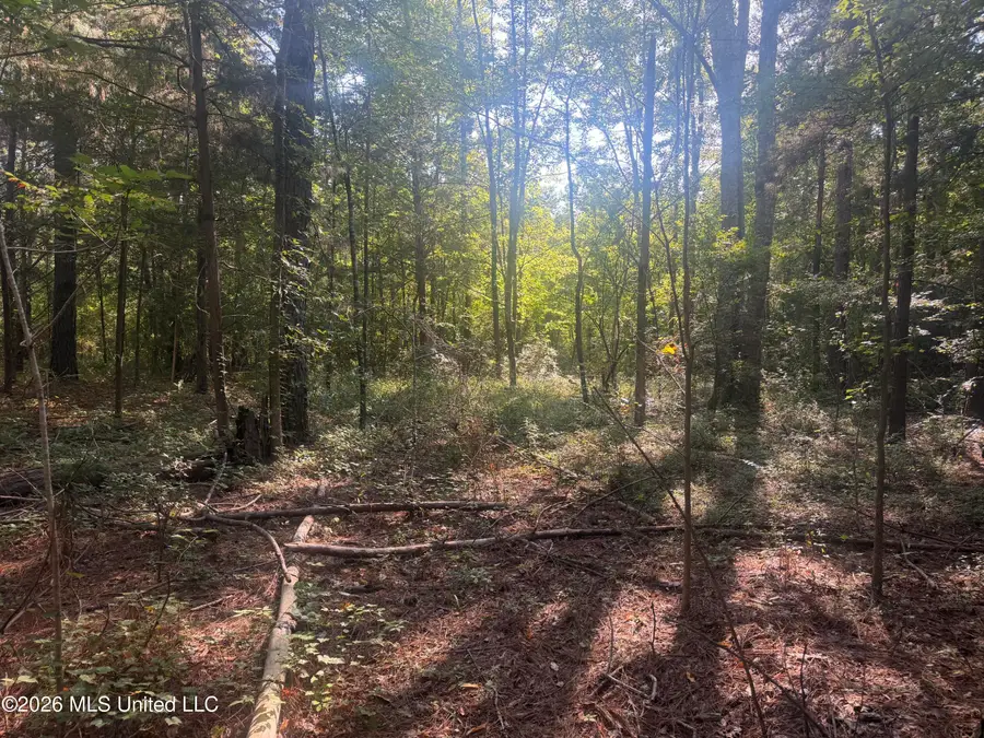 0 Mountain Creek Farm Road, Florence, MS 39073 - #2