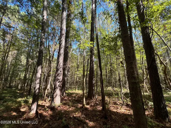 Highway 84, Roxie, MS 39661