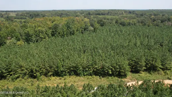 Cr 2132, McCool, MS 39108