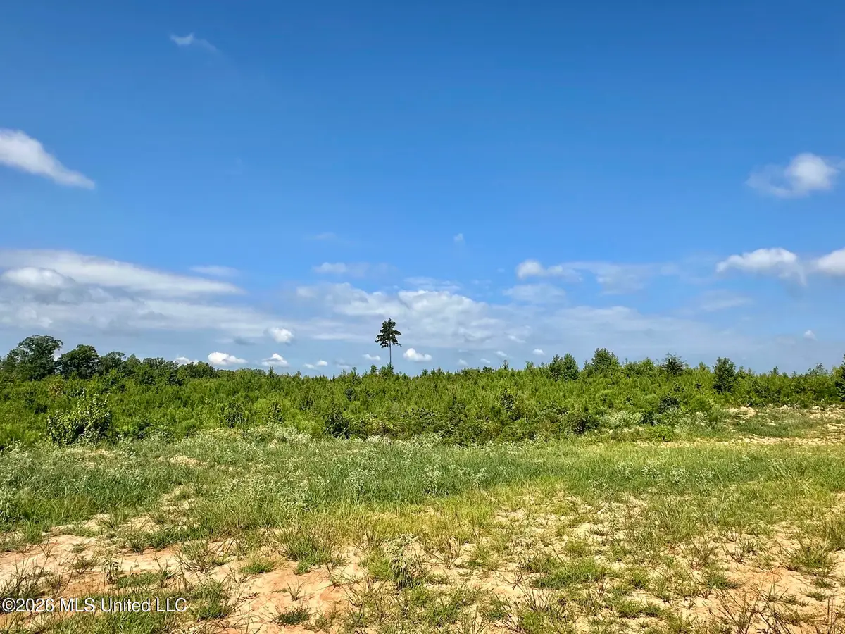 1 Will Womack, Mantee, MS 39751 - #1