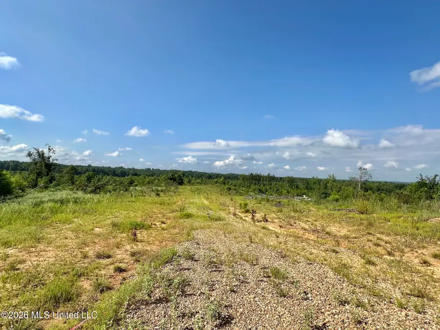 4 Will Womack, Mantee, MS 39751 - #3