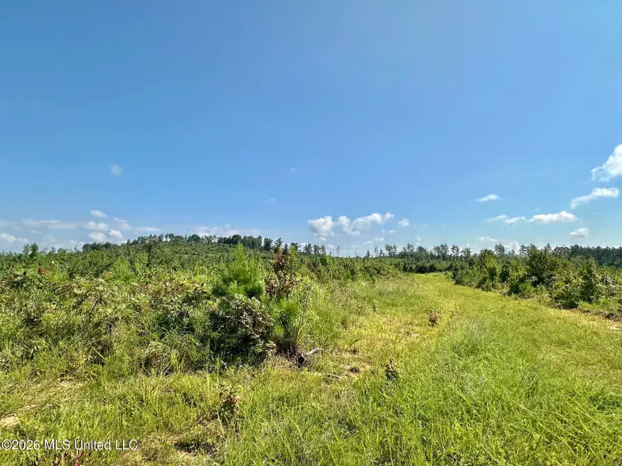 7 Will Womack, Mantee, MS 39751 - #3
