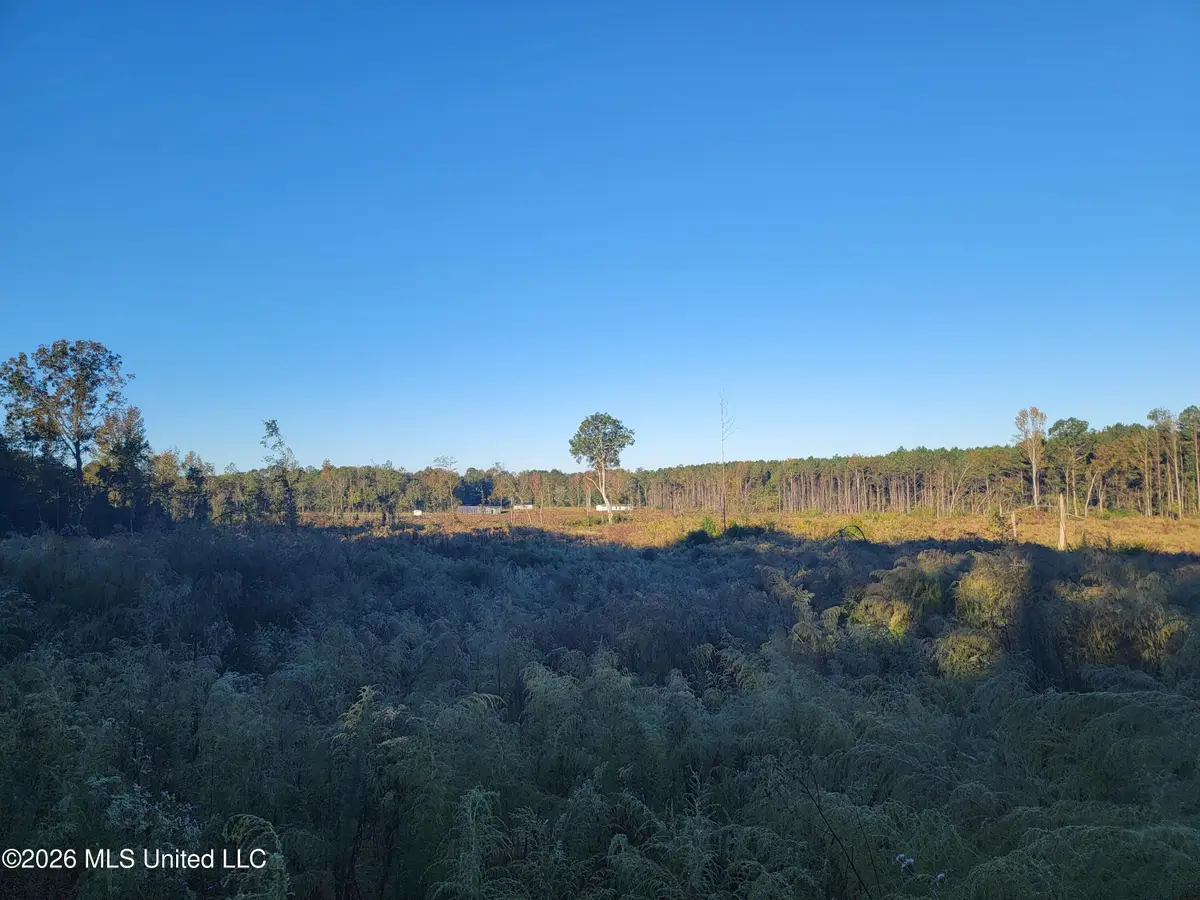Haralson Lane, Forest, MS 39074 - #1