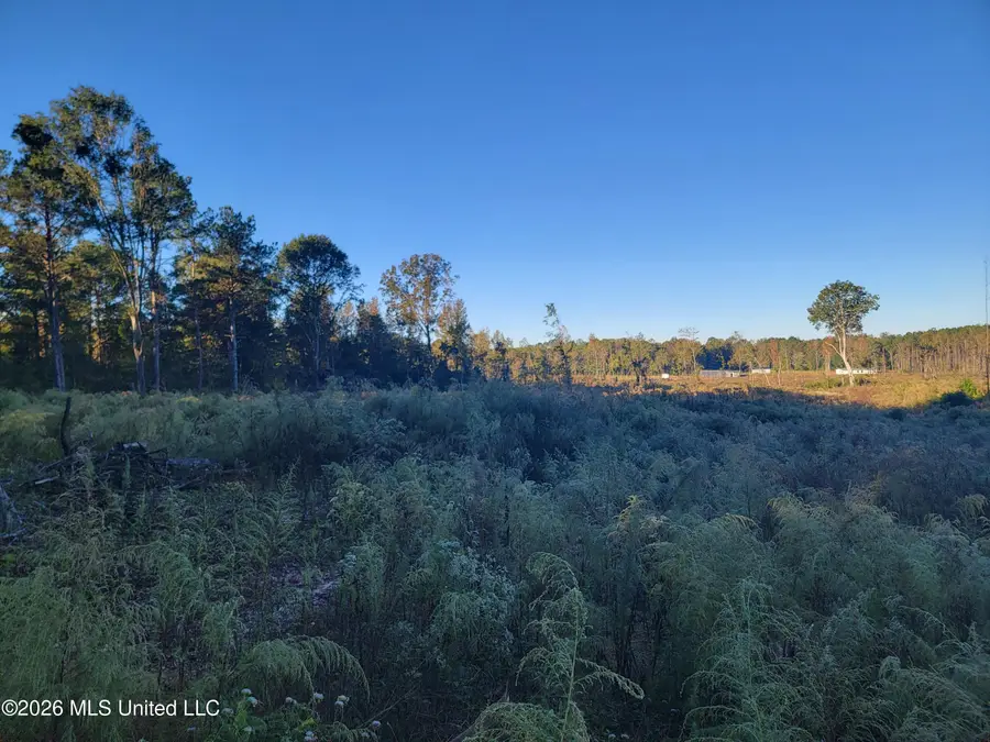 Haralson Lane, Forest, MS 39074 - #2