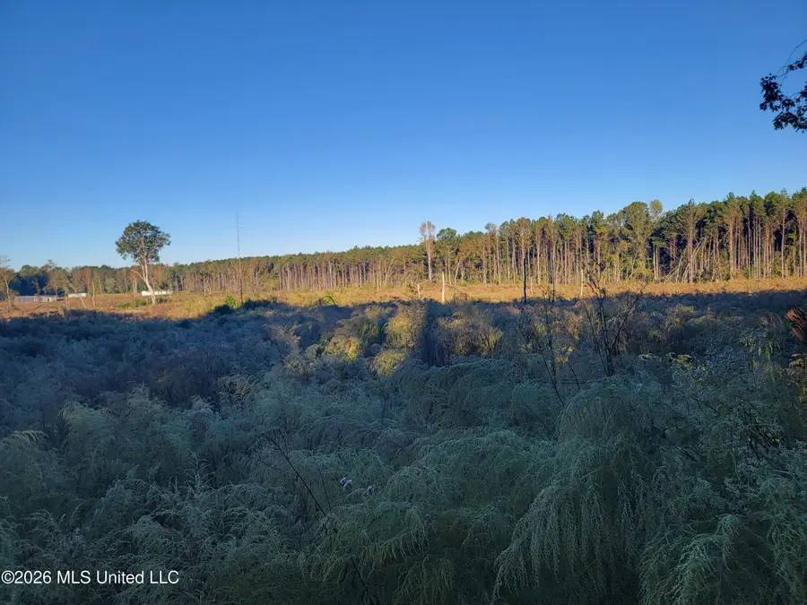 Haralson Lane, Forest, MS 39074 - #3