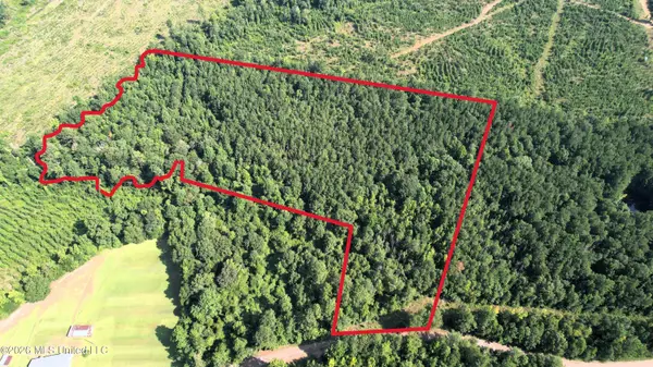 0 NE Pipeline Lane, Sontag, MS 39665