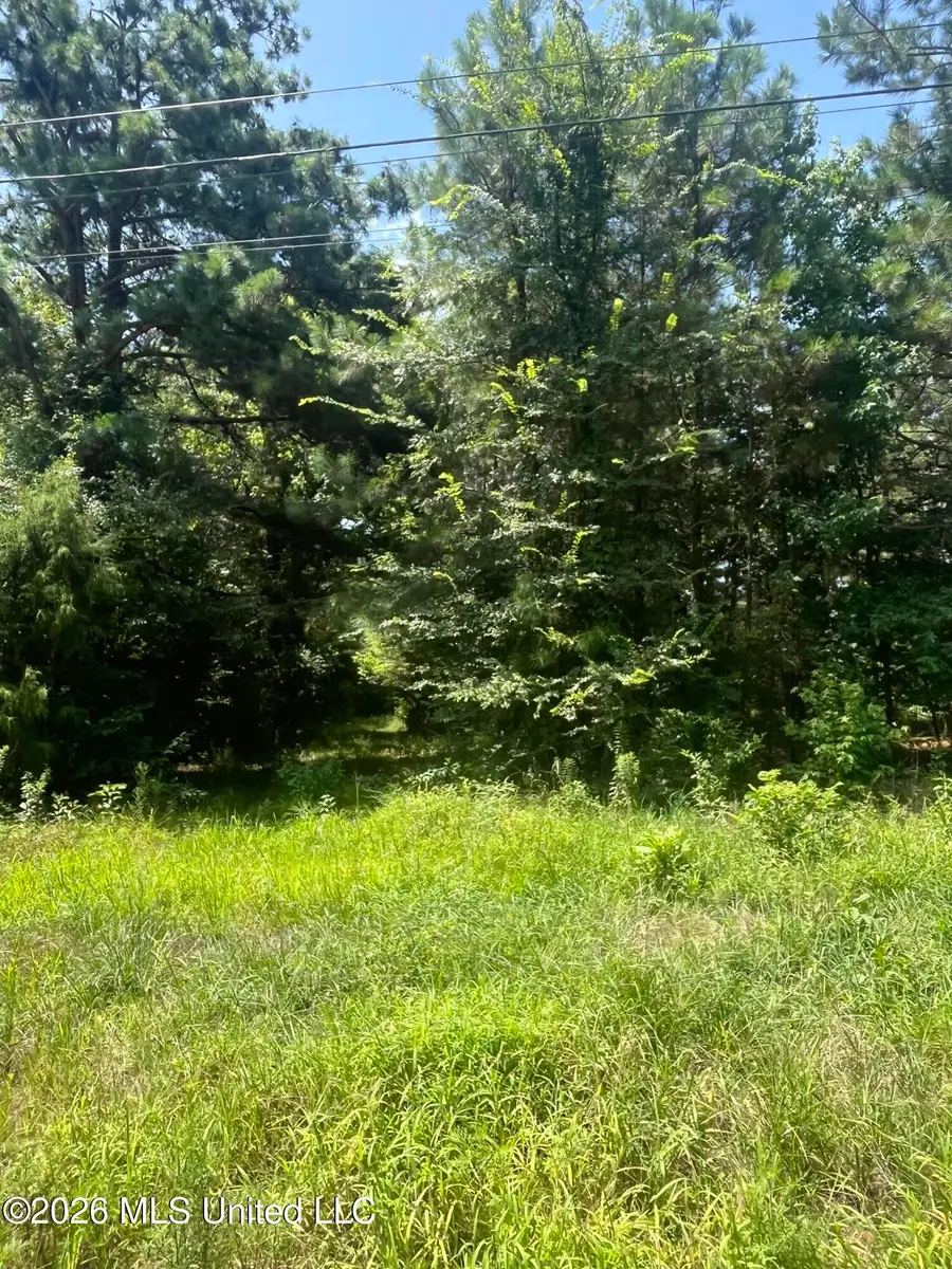 Burton Road, Senatobia, MS 38668 - #3