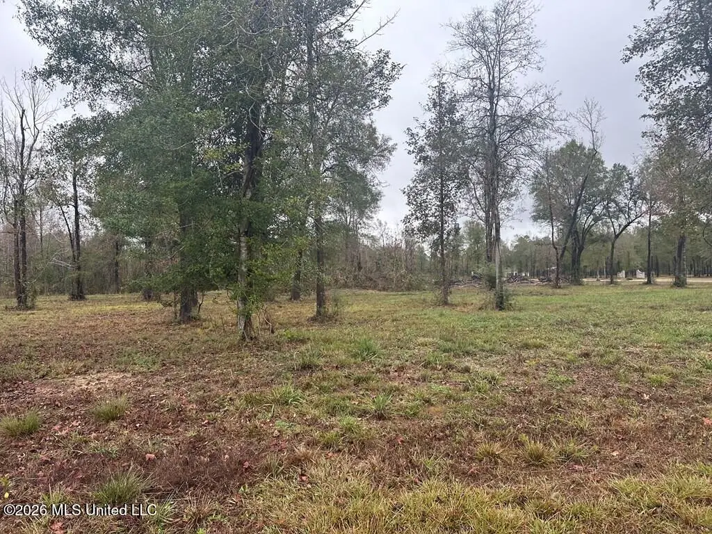 Bent Creek, Picayune, MS 39466 - #1