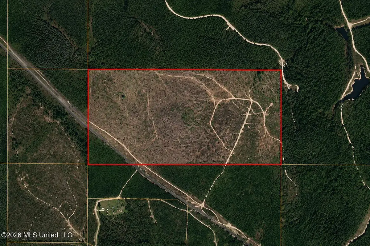 80 Acres Off Of Farmer Drive, Richton, MS 39476 - #1
