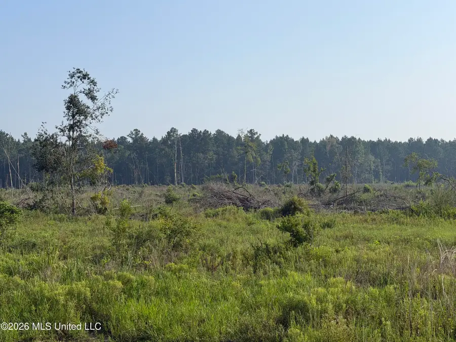 80 Acres Off Of Farmer Drive, Richton, MS 39476 - #2