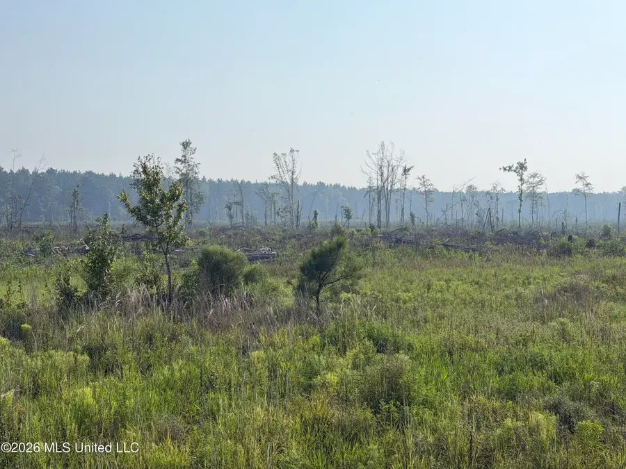 80 Acres Off Of Farmer Drive, Richton, MS 39476 - #3