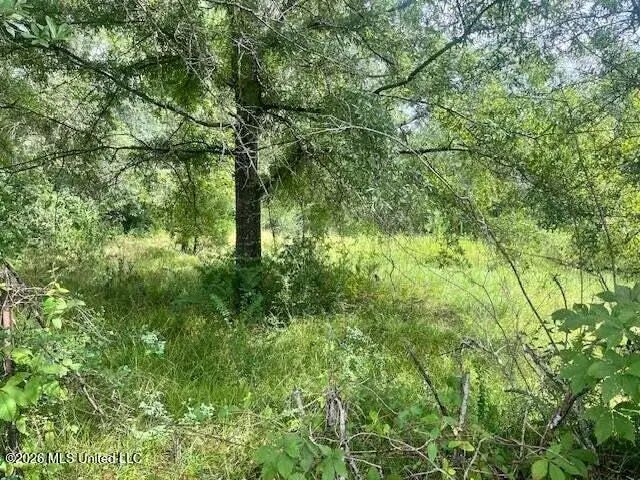 4034 W Topisaw, Ruth, MS 39662 - #1