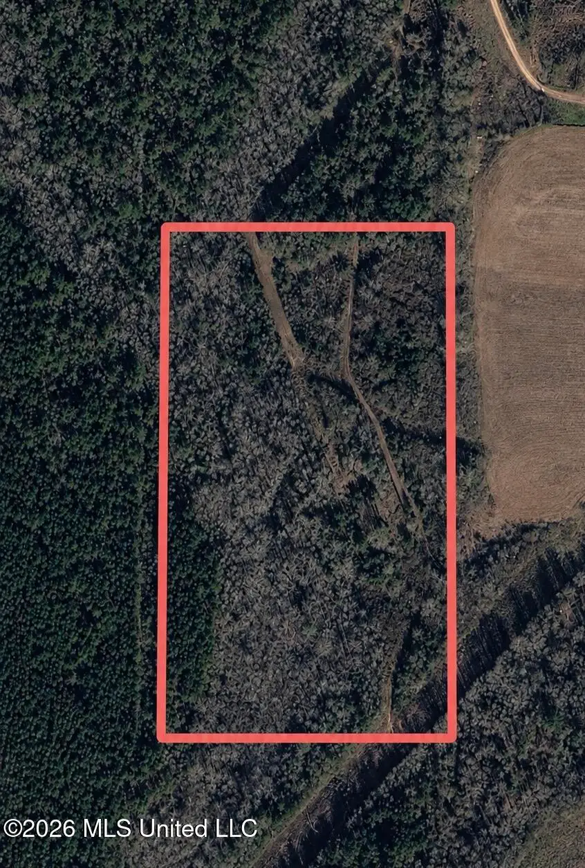 Scr 11a, Bay Springs, MS 39422 - #3