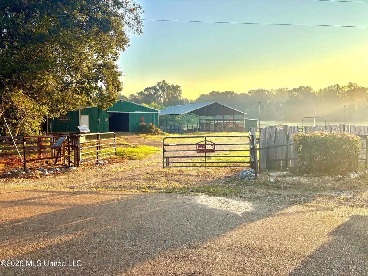 253 W Petros Road, Pearl, MS 39208 - #1