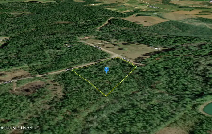 27025 Deer Lane, Perkinston, MS 39573 - #3