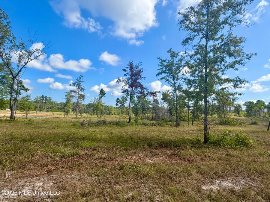 5.68 Ac +/- Industrial Park Road, Leakesville, MS 39451 - #3