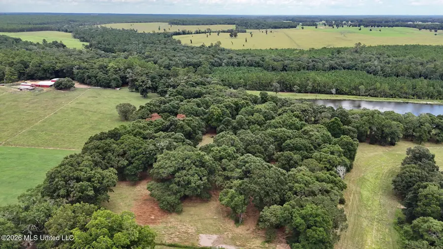 14.8 Acres Country Oak Circle, Lucedale, MS 39452 - #3