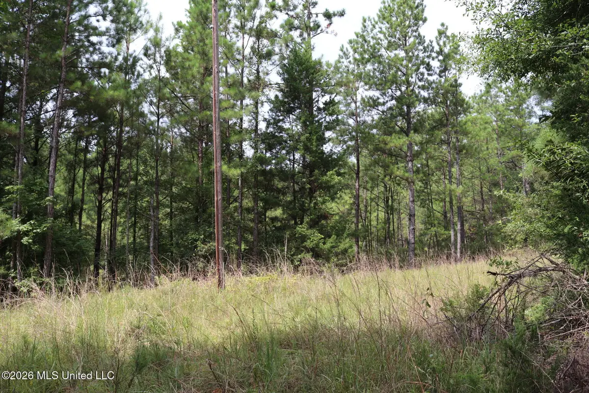 Sulphur Springs Road, Camden, MS 39045 - #1