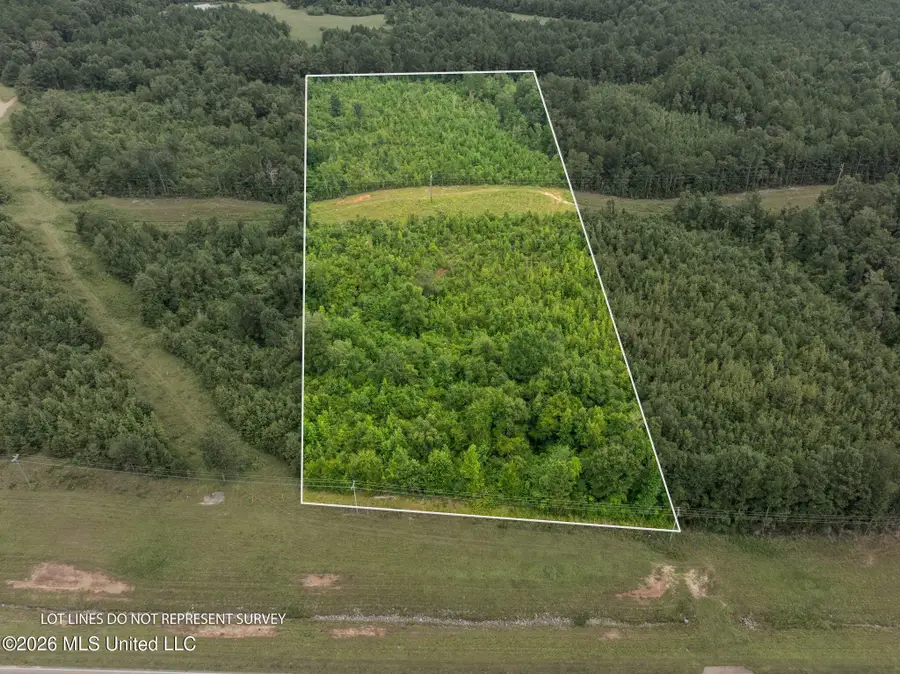 4 Hwy 84, Collins, MS 39428 - #2