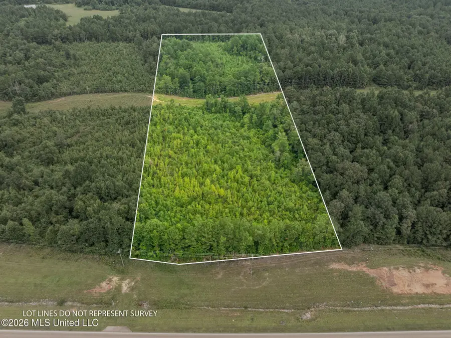 5 Hwy 84, Collins, MS 39428 - #2