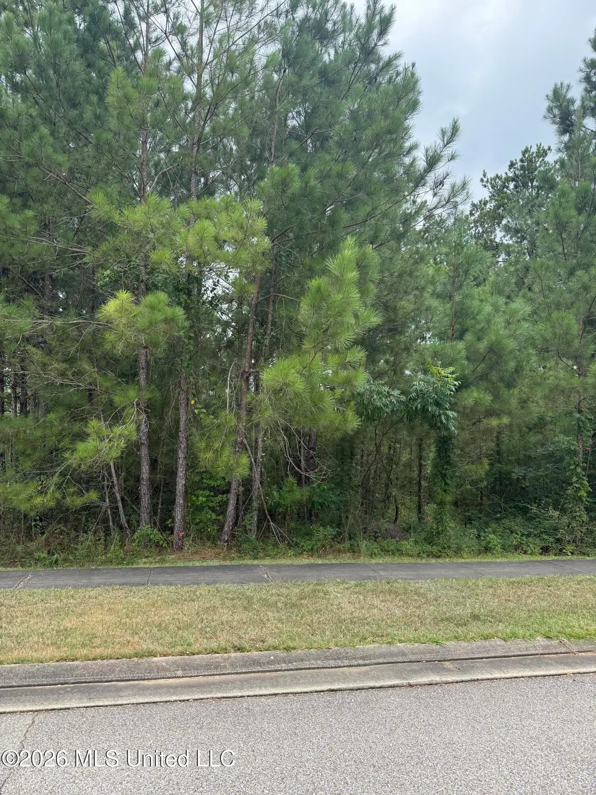 42 S Of, Hattiesburg, MS 39402 - #1