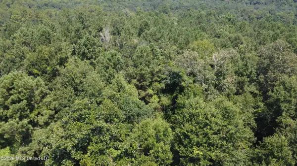 31052 Pearson Cemetary Road, Carriere, MS 39426