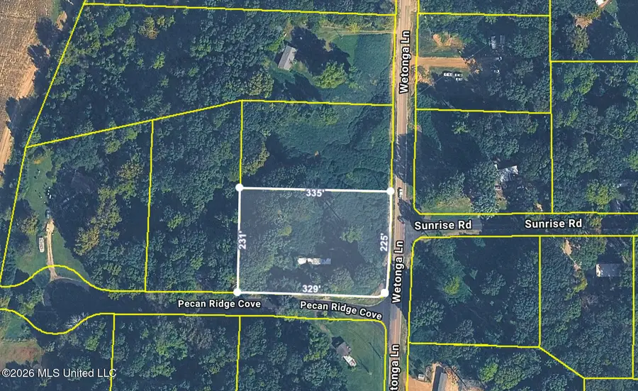 11120 Pecan Ridge Cove, Hernando, MS 38632 - #2