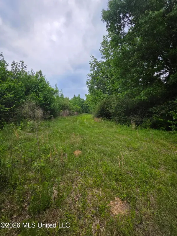 1542 Wellman Drive, Brookhaven, MS 39601