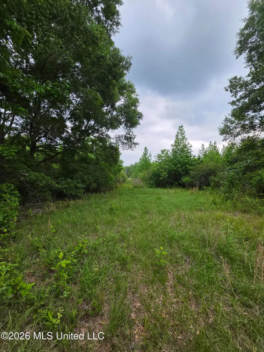 1542 Wellman Drive, Brookhaven, MS 39601 - #2
