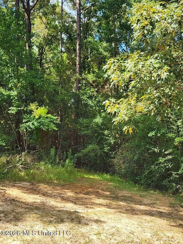16509 Mcgregor Road, Vancleave, MS 39565 - #1