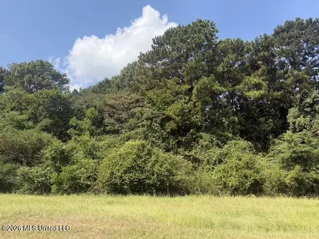 U S Highway 49, Richland, MS 39218 - #2