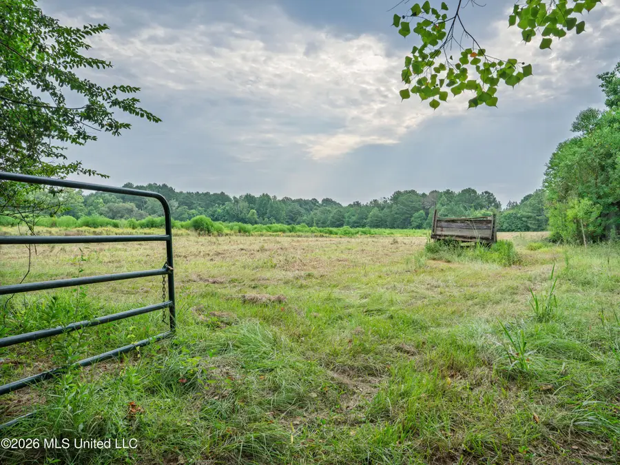 Spring Street, Taylorsville, MS 39168 - #3