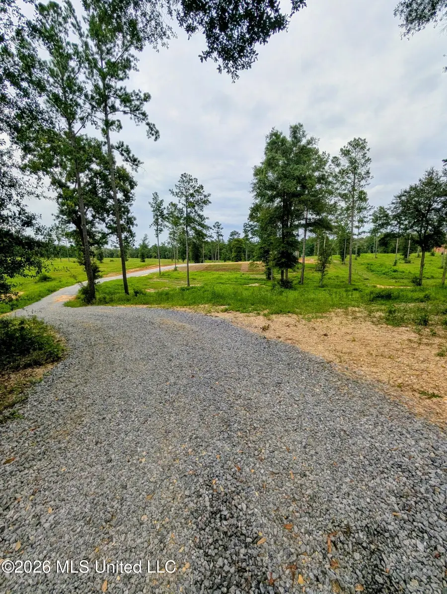 67 Moonshadow Lane, Sumrall, MS 39482 - #3