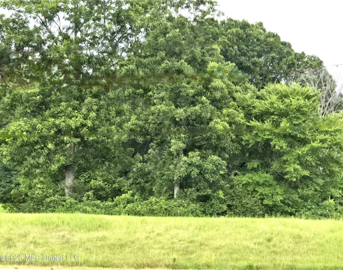 1 Gravel Springs Road Road, Senatobia, MS 38668 - #1