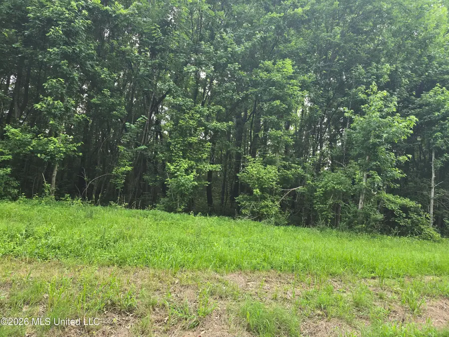 1 Gravel Springs Road Road, Senatobia, MS 38668 - #3