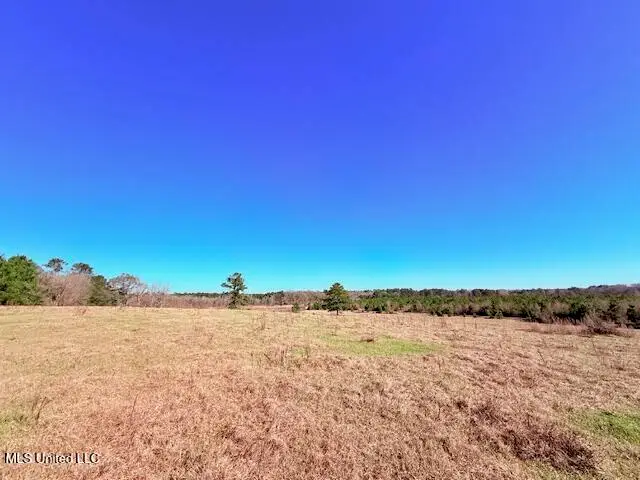 John Smith Road, Mount Hermon, LA 39518 - #1