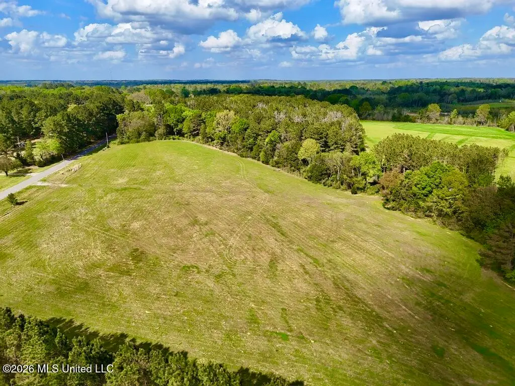 0035 Stump Bridge Road, Canton, MS 39046 - #1