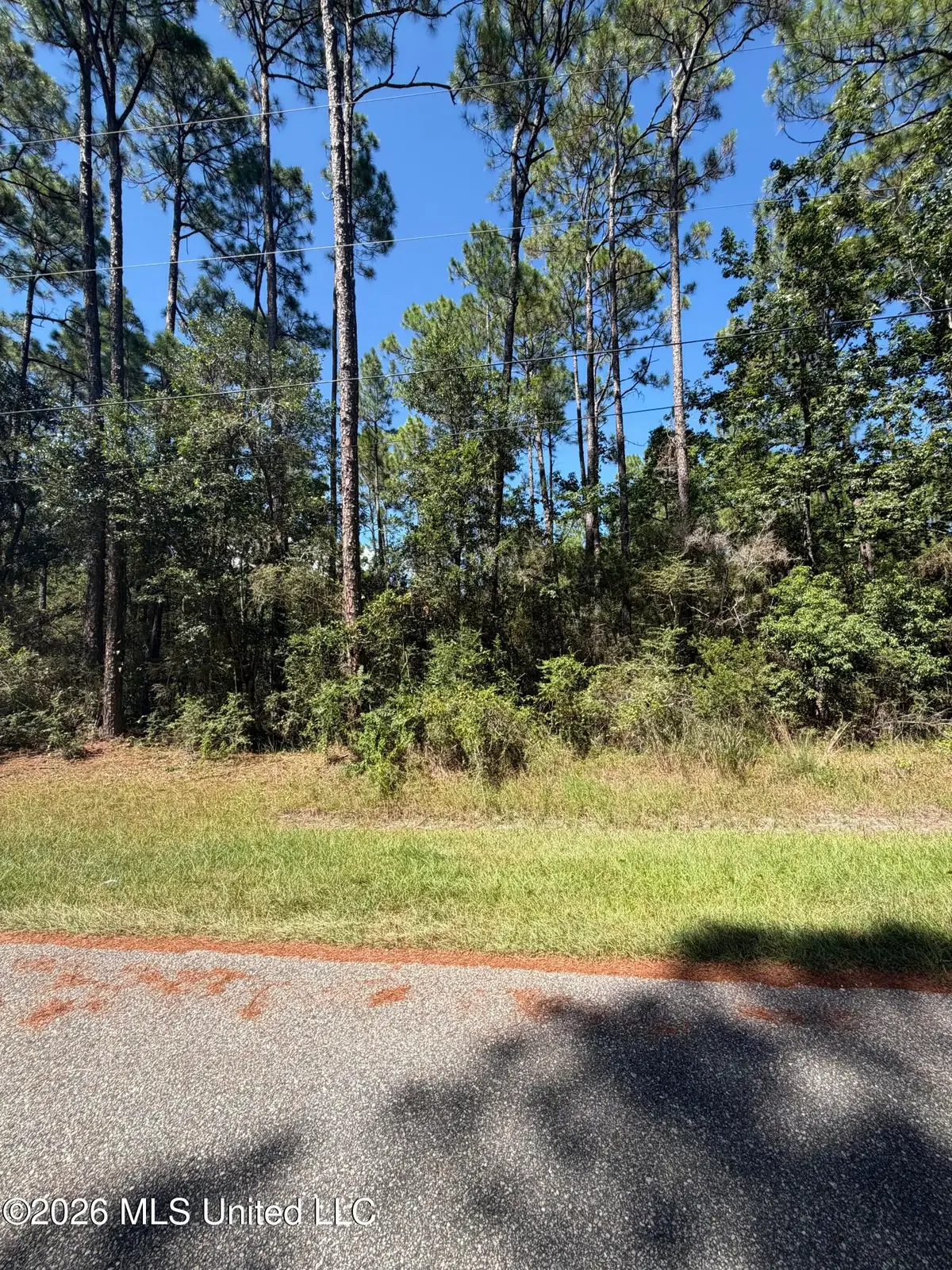 Holly Point, Pass Christian, MS 39571 - #1
