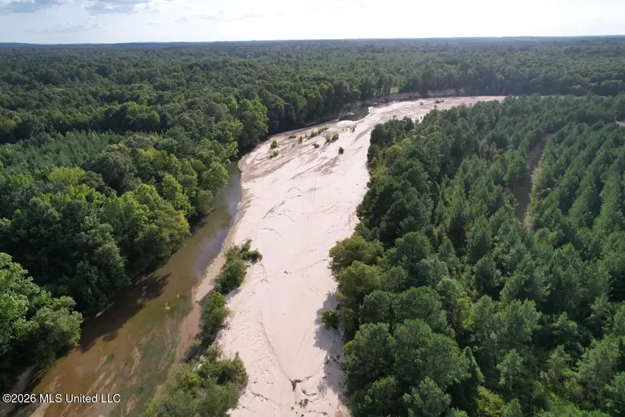 Old Oldenburg Road, Meadville, MS 39653 - #3