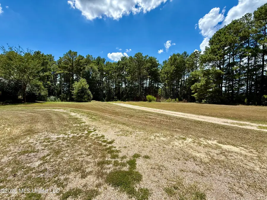 1114 Scr 30, Mount Olive, MS 39119 - #3