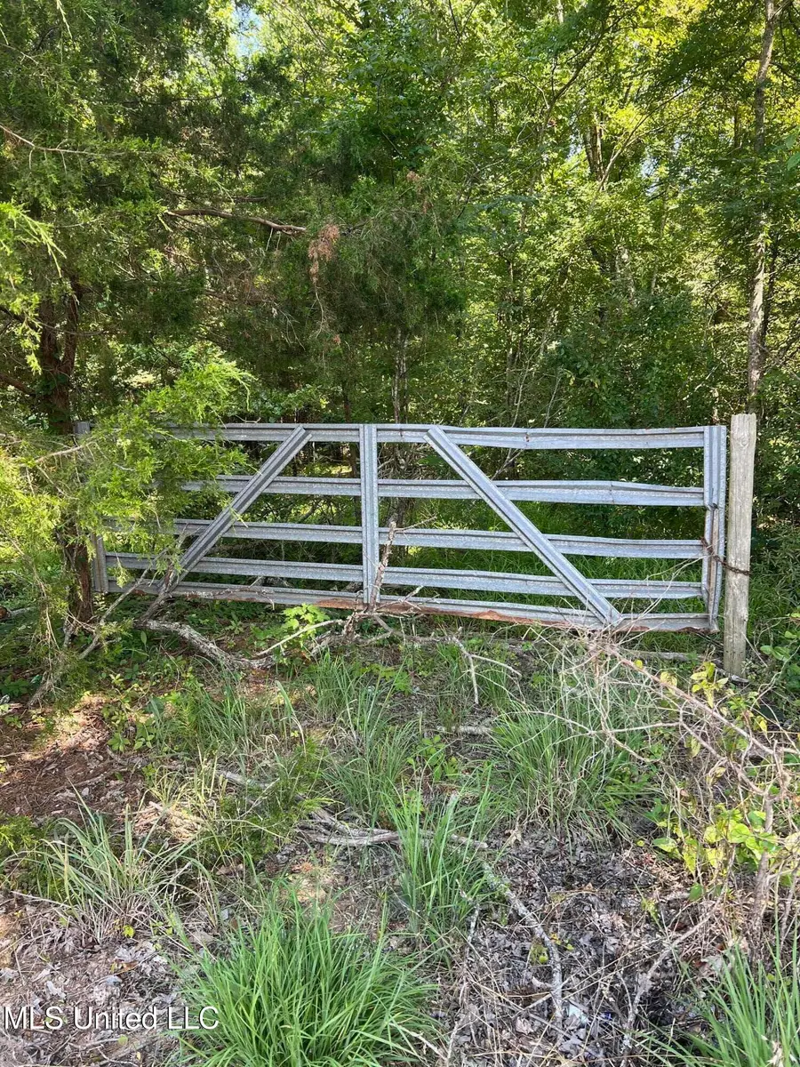 200 Metra Road, Coldwater, MS 38618 - #2