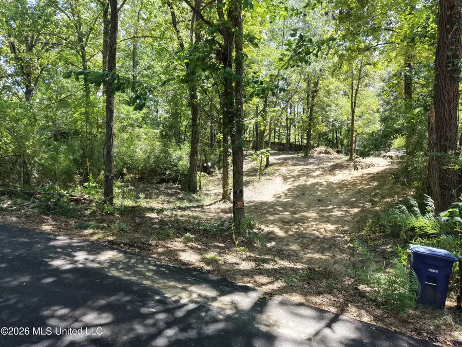 Dogwood Drive, Ashland, MS 38603 - #3