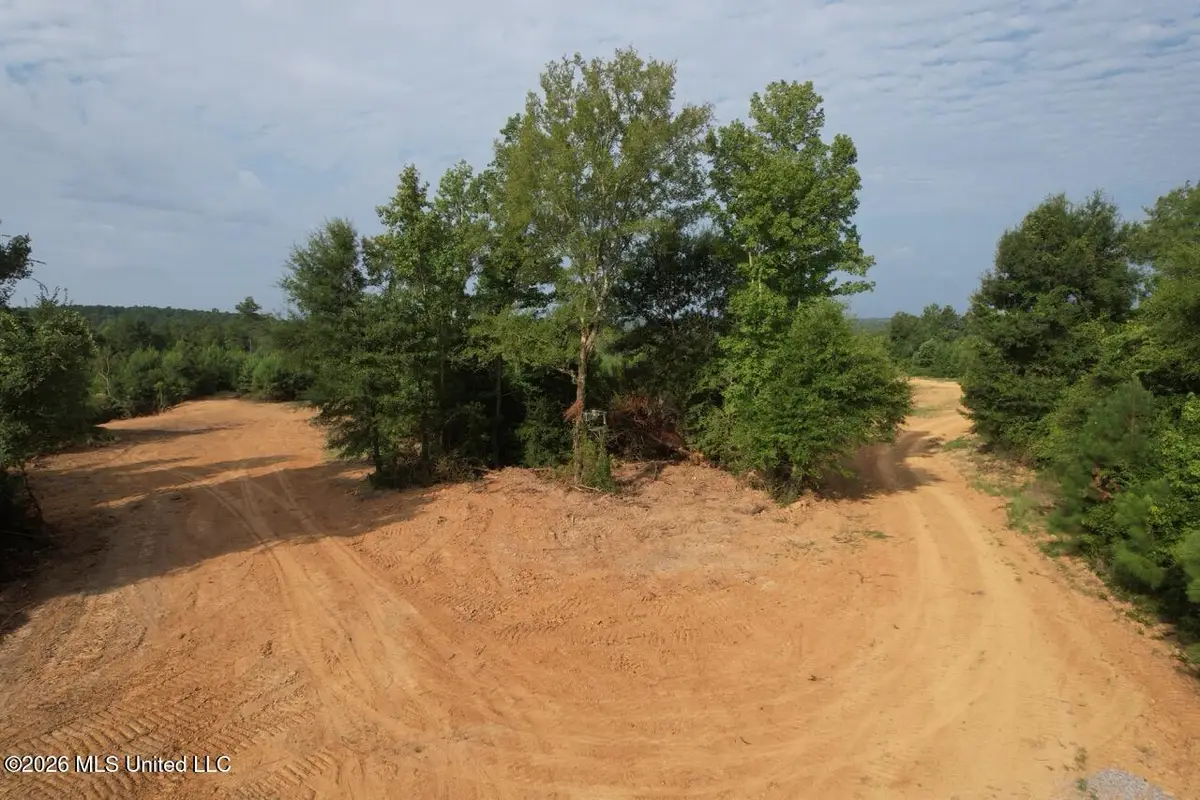 Old Oldenburg Road, Meadville, MS 39653 - #1