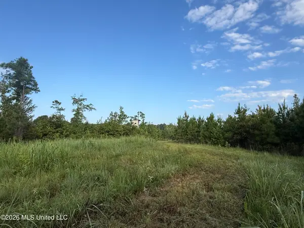Co Rd 4102, Sallis, MS 39160
