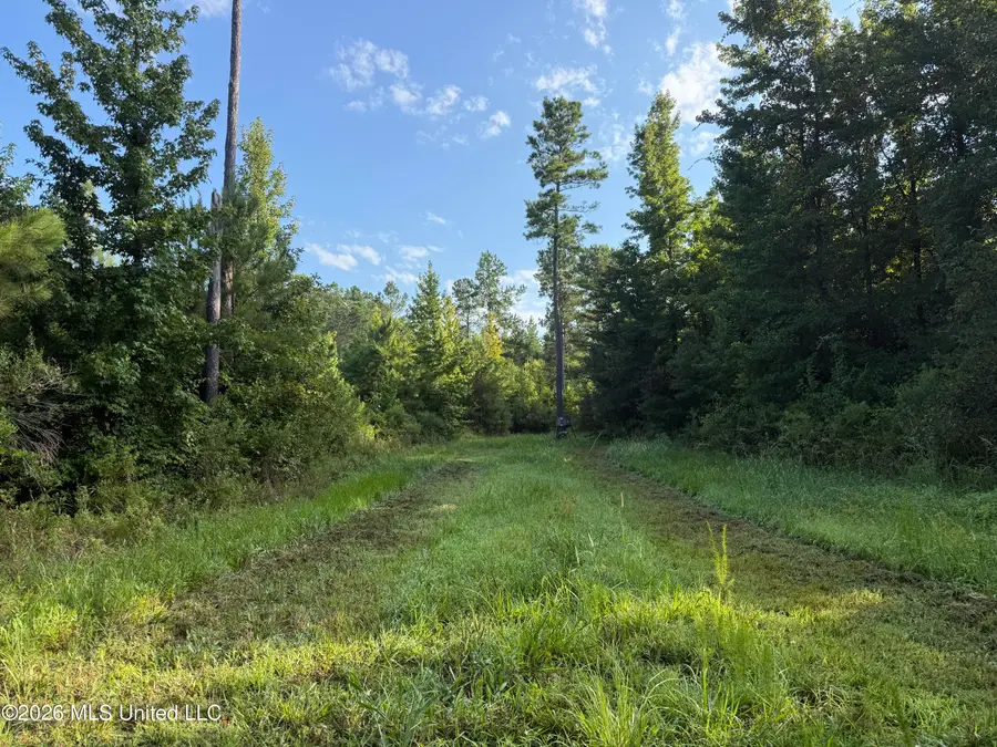 Co Rd 4102, Sallis, MS 39160 - #2