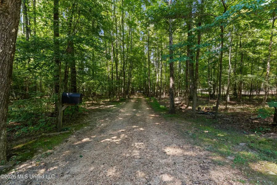 2500 Mays Road, Coldwater, MS 38618 - #3