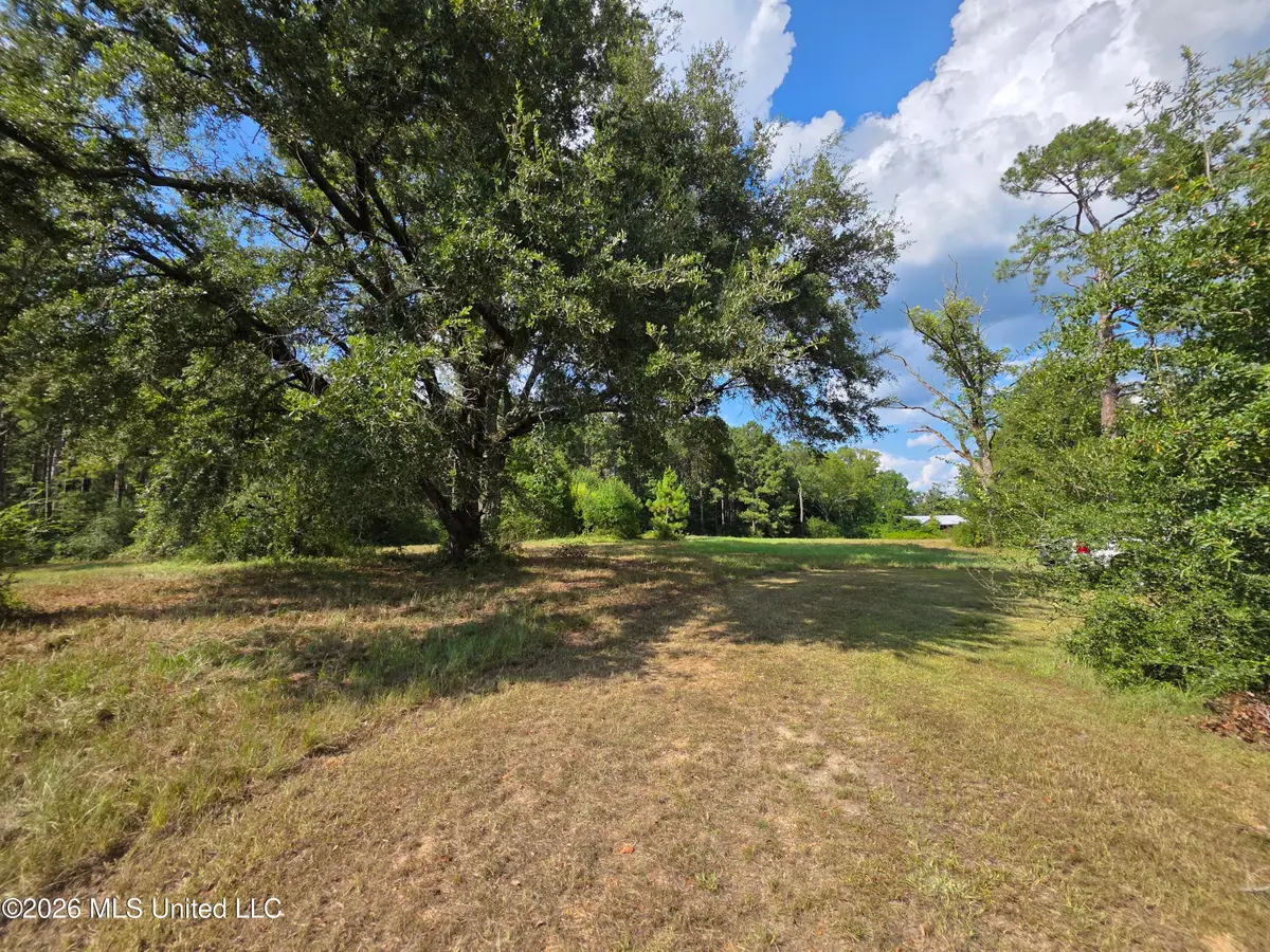 325 Double Ponds Road, Prentiss, MS 39474 - #1