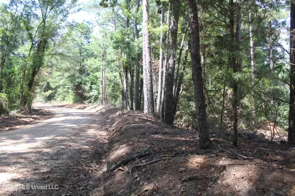 Rosebud School Road, Walnut Grove, MS 39189