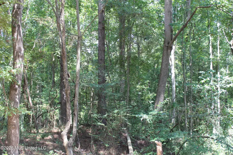 Rosebud School Road, Walnut Grove, MS 39189 - #2