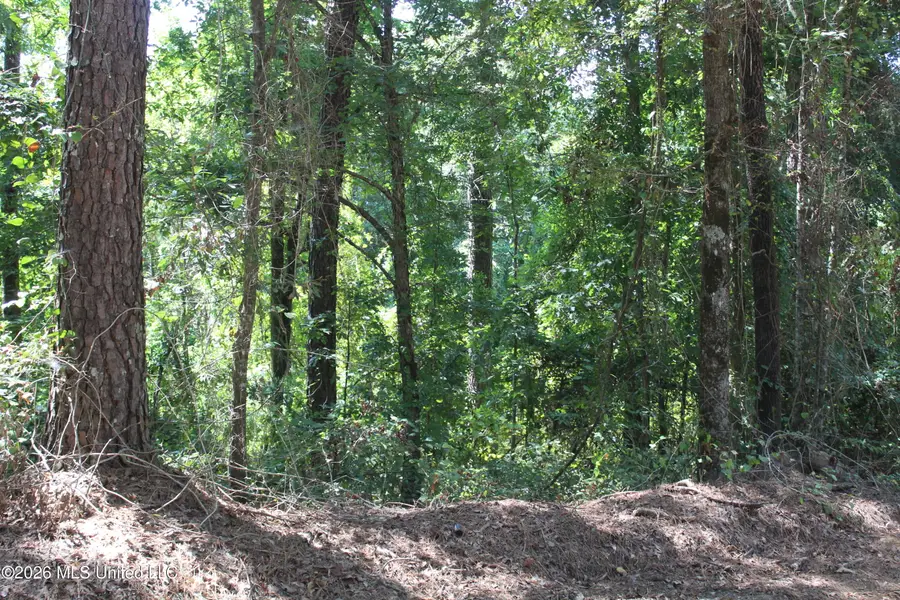Rosebud School Road, Walnut Grove, MS 39189 - #3
